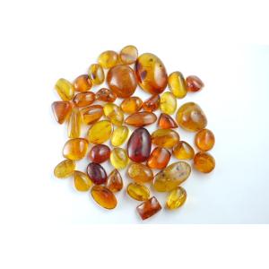 虫入り琥珀ルース(コハク) 3Aグレード ドミニカ産の詳細画像4