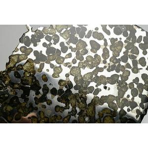 Brenham(パラサイト) アメリカ・カンザス州の詳細画像2