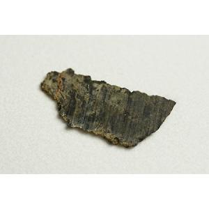 火星隕石 Dar al Gani 476