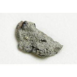 博物館クラス! 火星隕石 Tissint モロッコ産の詳細画像1