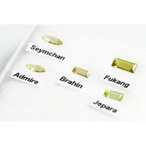 パラスティック・ペリドット パラサイト隕石由来の...の商品画像