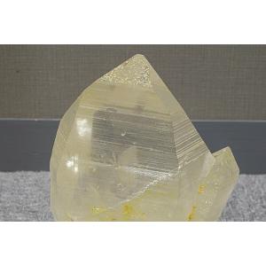 博物館クラス!超特大!コロンビアレムリアン ポイントの詳細画像2