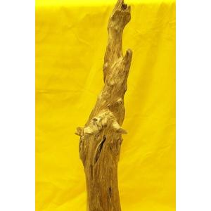 博物館クラス!特大!沈香原木 小山 インドネシア産の詳細画像3