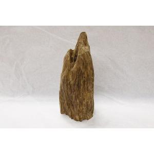 博物館クラス！特大！沈香原木　小山　マレーシア産