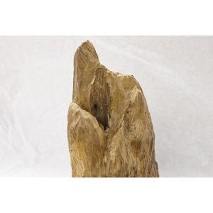 博物館クラス!特大!沈香原木 小山 マレーシア産の詳細画像2