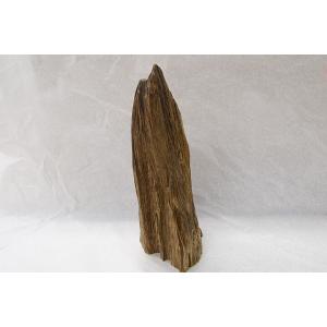 博物館クラス！特大！沈香原木　小山　マレーシア産