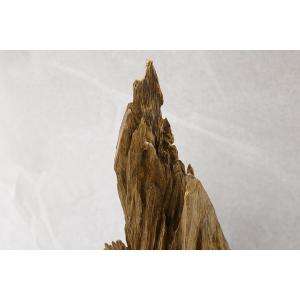 博物館クラス!特大!沈香原木 小山 マレーシア産の詳細画像2