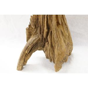 博物館クラス!特大!沈香原木 小山 マレーシア産の詳細画像3