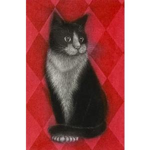 大特価 仙北谷和子「赤い部屋」銅版画 カラーメゾチント 額装 猫 
