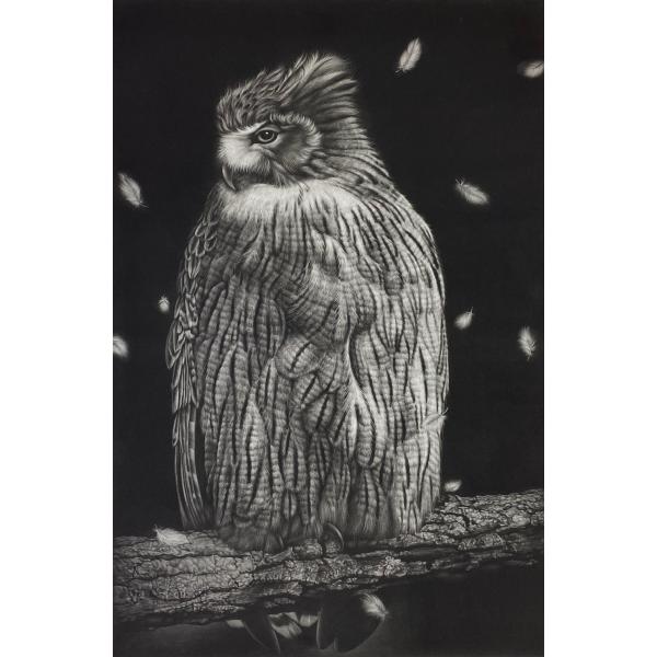 生田宏司「風悠」銅版画　メゾチント　額装　89.5x70.5cm 大型作品　ふくろう　世界的活躍