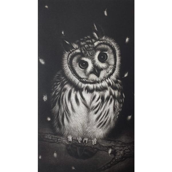 生田宏司「風に触れて2012」銅版画　メゾチント　額装　サインあり　ふくろう