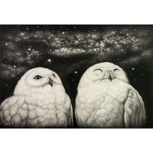 生田宏司「夢想夜」銅版画 メゾチント 額装 サインあり ふくろう 梟