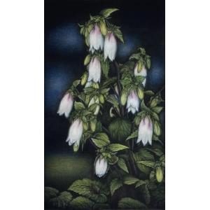 堀文子 【春】 リトグラフ 堀文子 【春】 リトグラフ