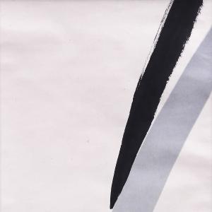 篠田桃紅 穹 紙に墨 彩色 抽象画 共箱 前衛...の詳細画像3
