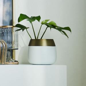 オリノ プランター 植木鉢 プランターポット 室...の商品画像