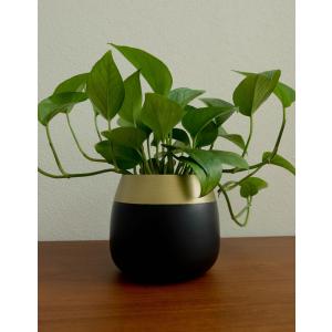 オリノ プランター 植木鉢 プランターポット ...の詳細画像5
