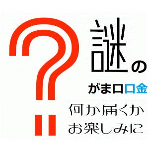 大量・メール便最大サイズギリギリまで詰め込み 最少15個入り謎のがま口福袋 差し込みタイプ シルバー アンティークゴールド ブラック訳あり品