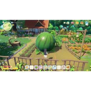【新品】Switch2 Starsand Is...の詳細画像2