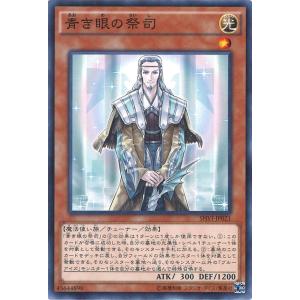 遊戯王オフィシャルカードゲーム デュエルモンスターズ 遊戯王カード