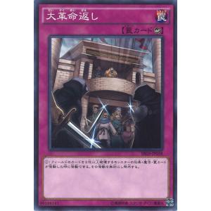本格構築【糾罪功-エニアクラフト-】デッキ＆3重スリーブ
