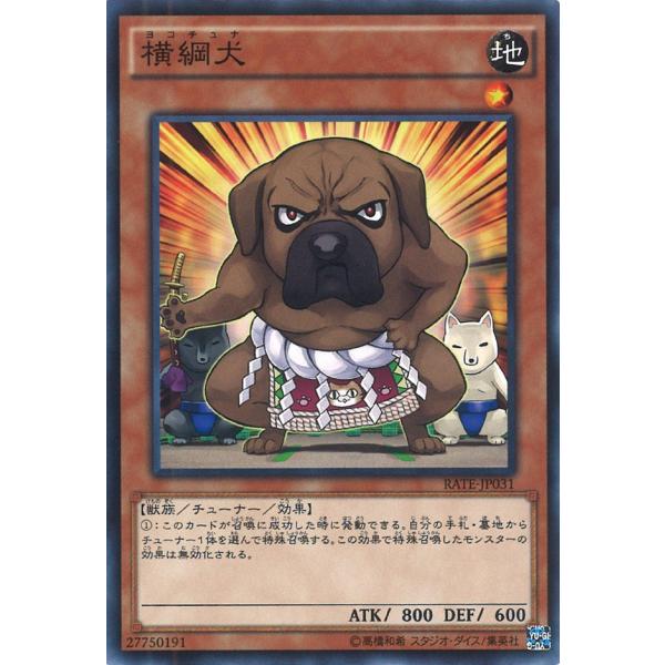 横綱犬 Normal RATE-JP031