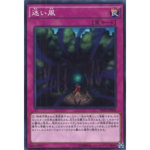 遊戯王オフィシャルカードゲーム デュエルモンスターズ 黒き竜の