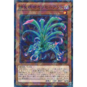 遊戯王オフィシャルカードゲーム デュエルモンスターズ 狂惑の落とし穴