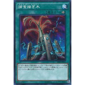 捕食接ぎ木 Normal SPFE-JP012