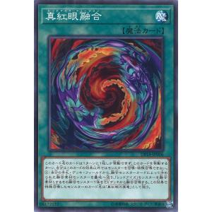 遊戯王オフィシャルカードゲーム デュエルモンスターズ ブラック