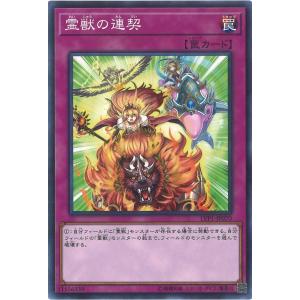 コナミデジタルエンタテインメント 遊戯王 YAP1-JP009 柴戦士タロ