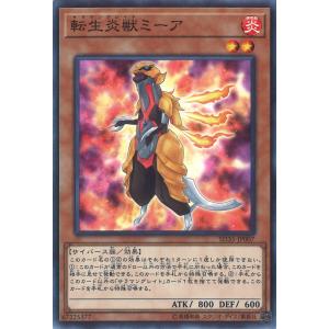 遊戯王オフィシャルカードゲーム デュエルモンスターズ ぜんなのつい