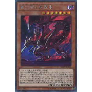 遊戯王オフィシャルカードゲーム デュエルモンスターズ サイレント