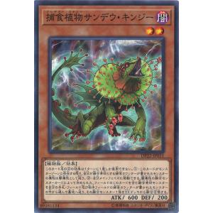 遊戯王オフィシャルカードゲーム デュエルモンスターズ 究極完全態