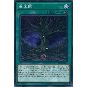 遊戯王オフィシャルカードゲーム デュエルモンスターズ 遊戯王カード