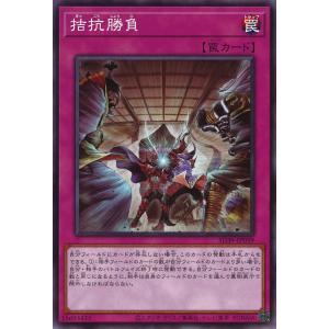 デュエル・マスターズ ウィリデ・ゴル・ゲルス SR光 24RP1 S2/S10
