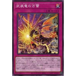遊戯王オフィシャルカードゲーム デュエルモンスターズ 蒼の深淵