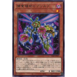 抹殺の指名者[高価N]/新16-1魔 遊戯王 : トレカショップ竜のしっぽ