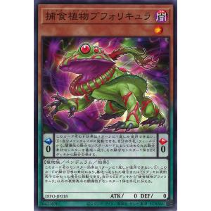 捕食植物オフリススコーピオ(高価N)/闇ハ06-8 遊戯王 : トレカショップ