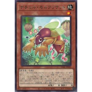 遊戯王オフィシャルカードゲーム デュエルモンスターズ 閉ザサレシ世界