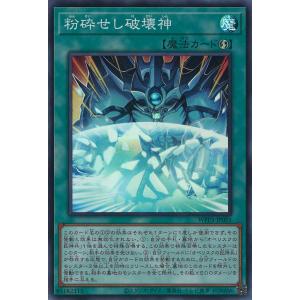 遊戯王オフィシャルカードゲーム デュエルモンスターズ ホーリー