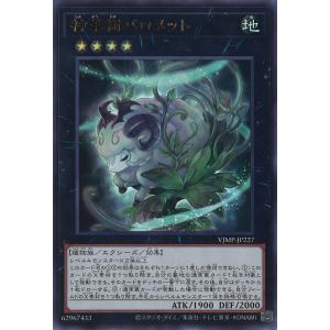 コナミデジタルエンタテインメント 遊戯王 中古ランクB(良い) VJMP