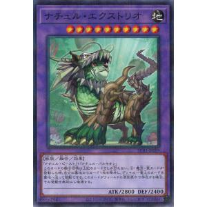 開運コロシアム　極大吉　消えゆく星アンニャッキー　SP02-002 開運】消えゆく星アンニャッキー【超大吉】SP02-002 - C-labo OnlineShop