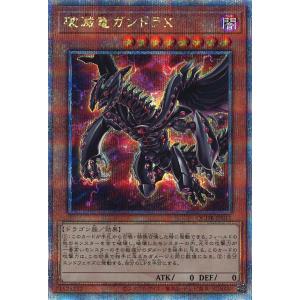 遊戯王オフィシャルカードゲーム デュエルモンスターズ 遊戯王カード