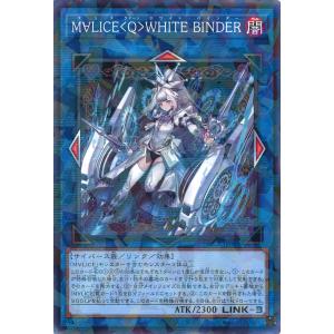 遊戯王オフィシャルカードゲーム デュエルモンスターズ バックアップ