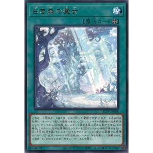 遊戯王オフィシャルカードゲーム デュエルモンスターズ 遊戯王 遊戯王オフィシャルカードゲーム デュエルモンスターズ 遊戯王