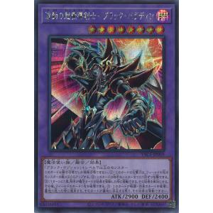 波動の超魔導剣士-ブラック・パラディン Secret YAC1-JP009