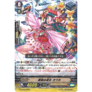 ファイアーエムブレム サイファ B14-005 運命の邂逅 クロム (N
