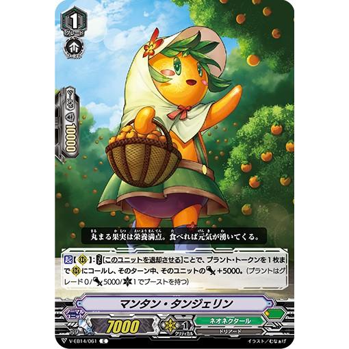マンタン・タンジェリン C V-EB14/061