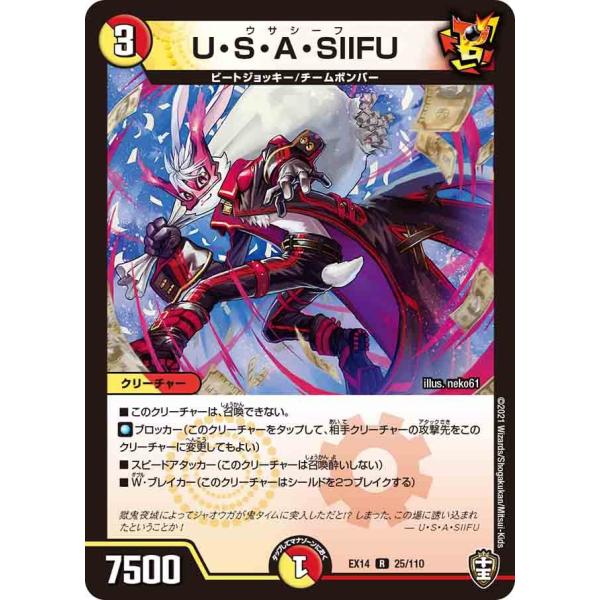 U・S・A・SIIFU R多色 EX14 25/110
