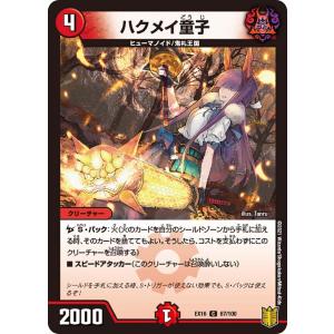 デュエル・マスターズ アカカゲ・レッドシャドウ(スーパーレア) 頂上